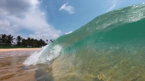 Turquoise Wave Breaks on Tropical Beach