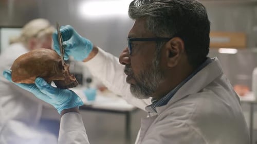 Senior Archaeologist Examining Ancient Skull With Precision Caliper