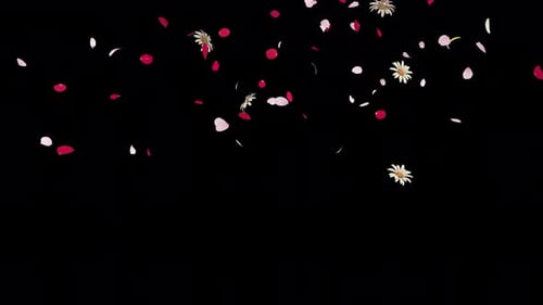 Falling Petals and Flowers Loopable Overlay