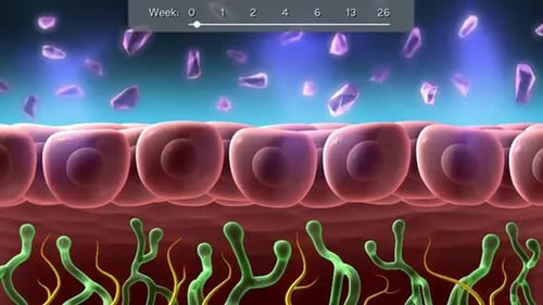 Animated microscopic view of cells and viruses interacting