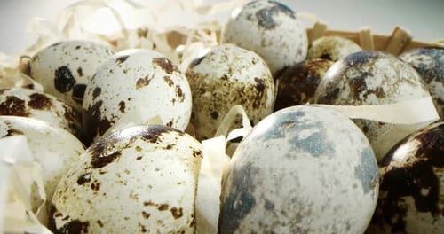 Speckled Quail Eggs in Woven Basket, Close Up