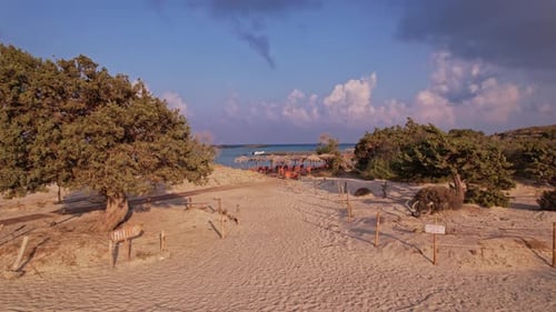 Beachside view at sunset with trees and distant boats on the water