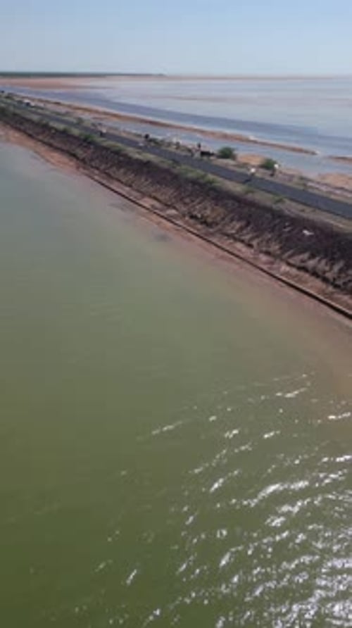 Drone view of cows, buffaloes on road to heaven flanked by ocean in Kutch, Gujarat on sunny day