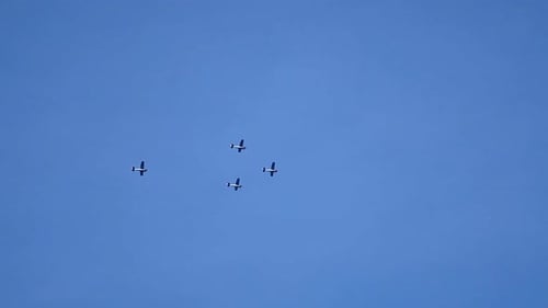 Vier alte Flugzeuge fliegen, während sie einige Koordinations- und Formationsaufgaben übernehmen.