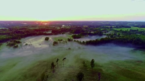 Aerial drone backward moving shot over lush green fields and forest under blue sky at sunrise over t