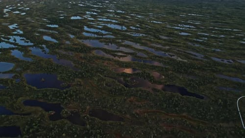 Aerial View of Expansive Bog Landscape