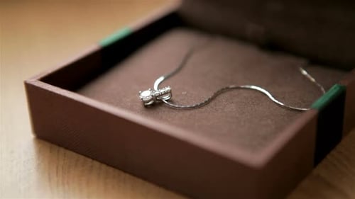 Silver Necklace in Jewelry Box with Coffee Beans