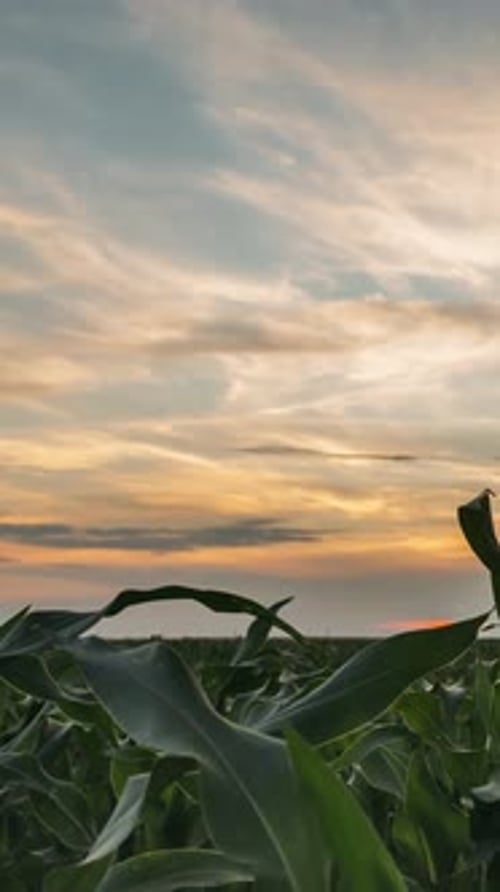 Time Lapse Timelapse Of Countryside