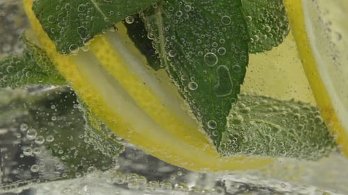 Mint and Lemon Slices in Bubbling Water