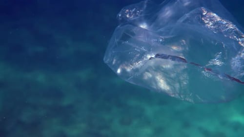A Discarded Plastic Bag Floats in the Water Dangers of Ocean Pollution
