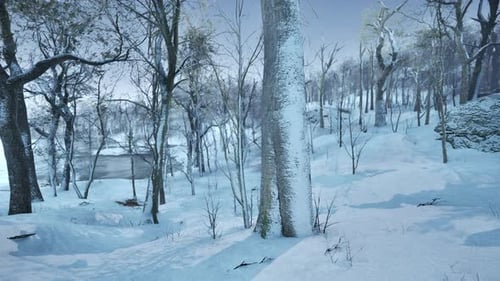 Winter Forest Landscape with Falling Snow and Bare Trees