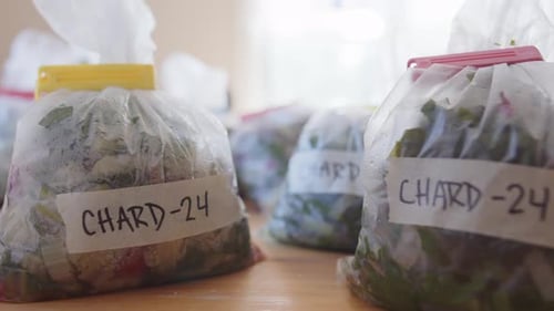 Photo de blettes nutritives conservées dans des sacs transparents étiquetés