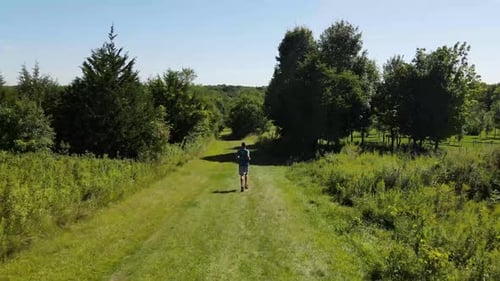 Male jogger running in the field between trees. Drone following a male running outdoors on a grass s