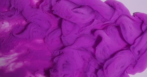 Purple Ink Cloud Explosion on White Background