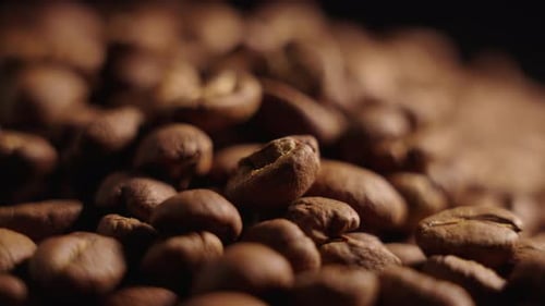 Pile of Roasted Coffee Beans Close Up