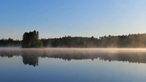 Morning mist on water surface. Beautiful lake scenery during summer morning.