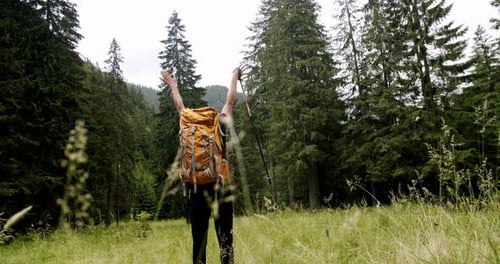 Back View of Active Healthy Male with a Backpack Walking in Pine Woods