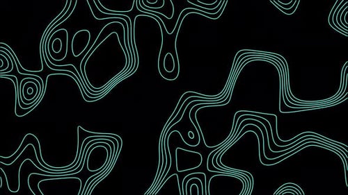 Abstract Cyan Fluid Topographic Line Animation Loop