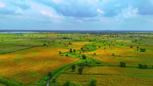 Aerial View of Green and Golden Rural Farmland