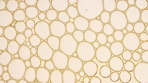 Transparent Cosmetic Gel Fluid with Molecule Bubbles Oil Distribution Bubble Cluster Cells Under a