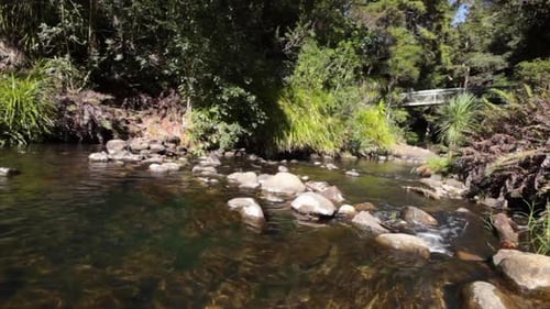 Une belle eau claire coule le long d'un ruisseau peu profond dans une forêt boisée recouverte de rochers avec un pont