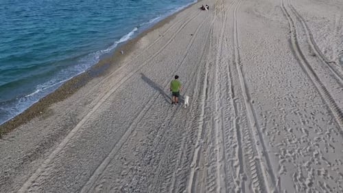 Man Walking Dog on the Beach