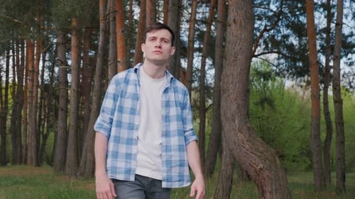Ein junger Mann wird gesehen, wie er im malerischen Pinienwald spaziert