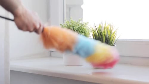 Dusting a Window Ledge with Duster