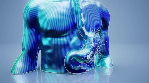 Conceptual 3D animation of a man showing stomach anatomy