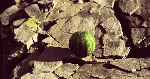 Watermelon on Rocks with Moving Sunlight and Shadows