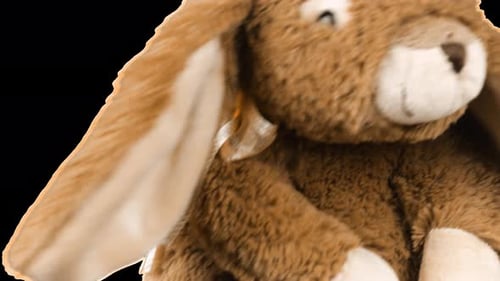 Kuscheliges und flauschiges Plüschtier Hase, das spielt und tanzt. Alpha-Kanal enthalten.