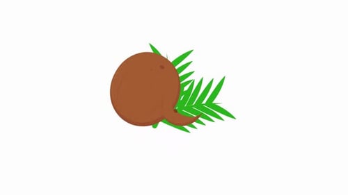 Animated Coconut and Palm Leaves Flat Design Illustration