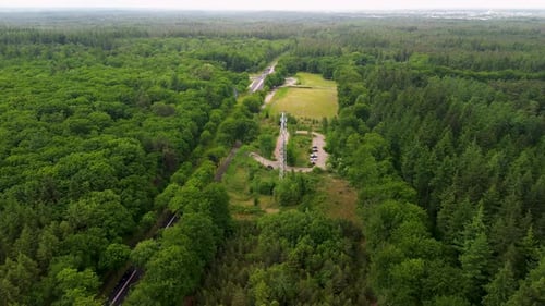 A metal communication tower stands in a forest clearing, surrounded by dense green trees.