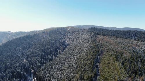 A view of mountains covered in trees The sky is blue Some trees are covered in snow and ice The sun