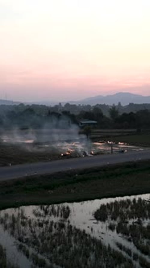 Brûlage de buissons et de mauvaises herbes au crépuscule dans des champs cultivés près de la route au Vietnam