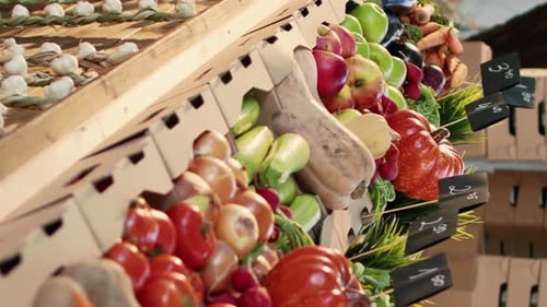 Vertical Video Organic Food Marketplace Stand with Colorful Bio Produce