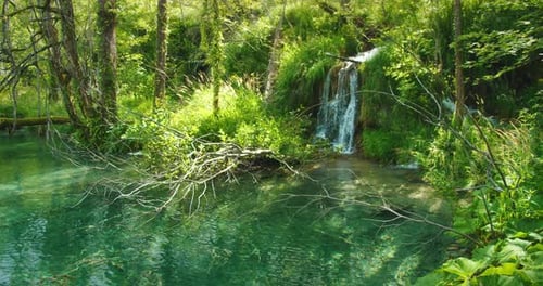 Kleiner klarer Wasserfall, der in einen ruhigen Pool in hellgrüner Waldumgebung fließt