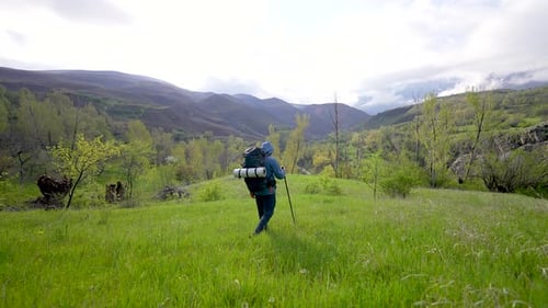 Vídeo de viaje: hombre caminando en una hermosa naturaleza en primavera