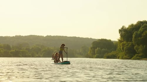 People Traveling On River And Practicing Paddle Boarding In River In Summertime Bright Sunshine