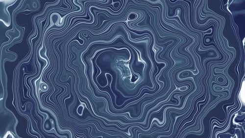Abstract Fluid Organic Contours Background Animation