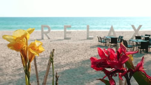 Complexe de luxe avec plage de sable blanc et mer cristalline