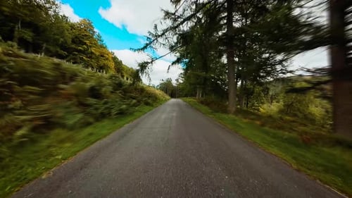 Country Lane Winding Through Forest Hills Under Bright Blue Sky POV Narrow Road Leading Between Tall