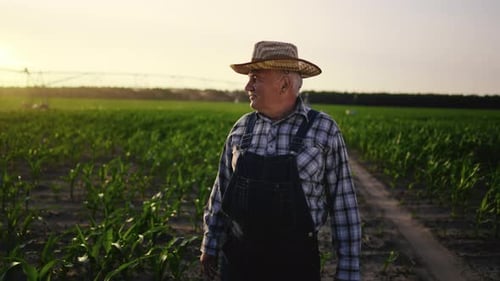 Farmer Standing in Corn Field at Sunrise