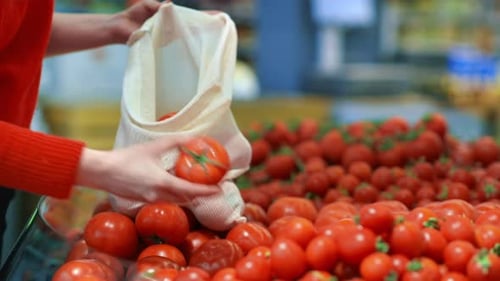 Mujer recogiendo tomates en una bolsa reutilizable en una tienda. Temáticas del Día de la Tierra y la Ecología