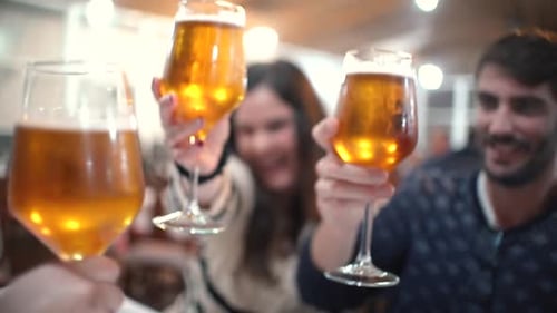 Adults Toasting Beer Glasses at a Celebration