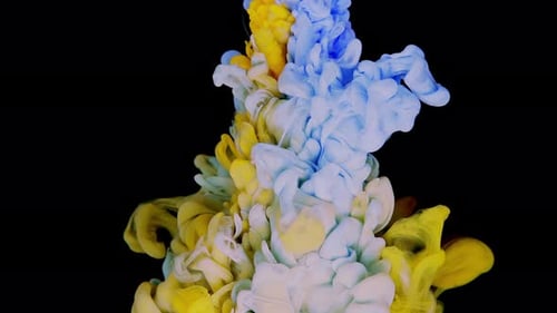 Blue and Yellow Ink Mixed in Water on Black Background Abstract Screensaver