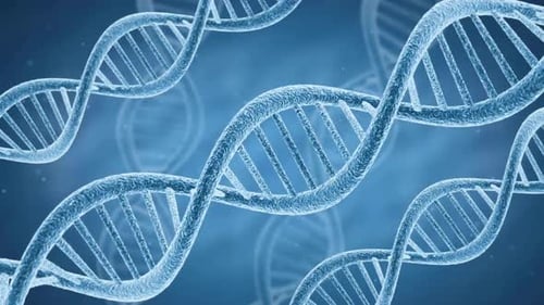 DNA Molecule Science, double helix strands, biological genetic heritage concept