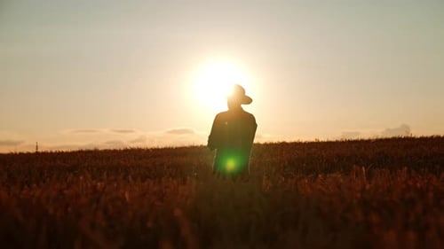 Man in hat stands in the wheat field at sunset.