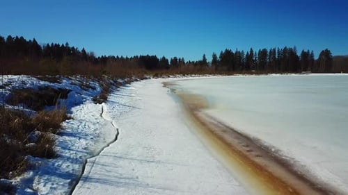 Spring, Forest And Western Dvina River 32