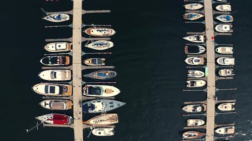 Luxurious yachts and motorboats moored in the marina